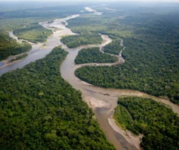 Fazenda Boa Vista Roraima