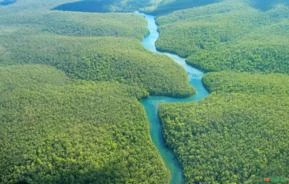 Venda de fazendas Amazonas