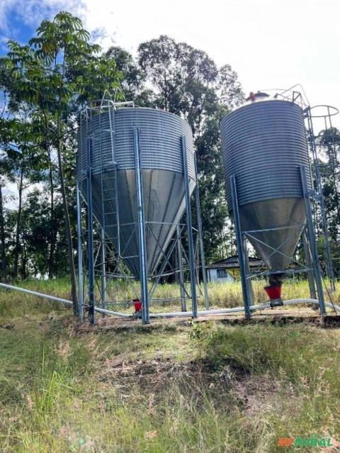 Imagem SILOS PARA RAÇÃO Imagem SILOS PARA RAÇÃO