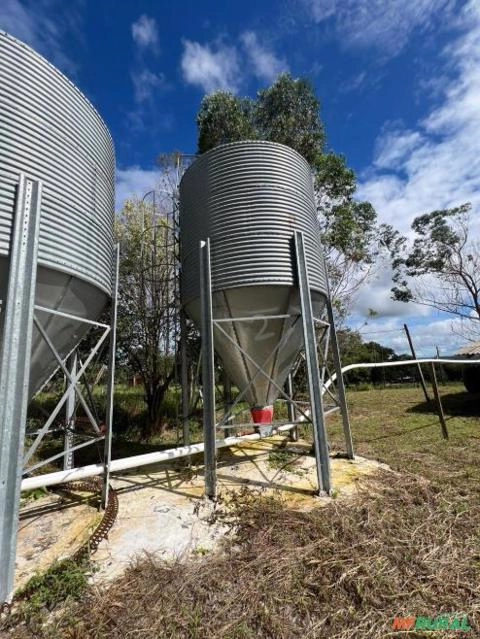 Imagem SILOS PARA RAÇÃO Imagem SILOS PARA RAÇÃO