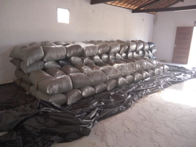 Silagem de milho Imagem Silagem de milho