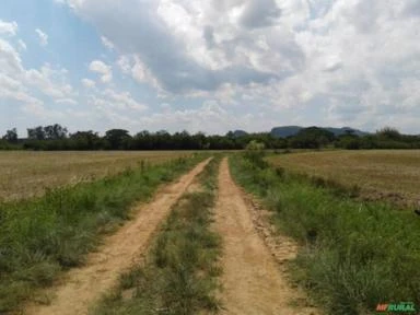 Fazenda para Plantio de Soja e Trigo em Glorinha/Gravataí - RS