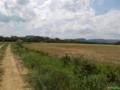 Fazenda para Plantio de Soja e Trigo em Glorinha/Gravataí - RS