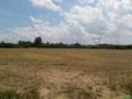 Fazenda para Plantio de Soja e Trigo em Glorinha/Gravataí - RS