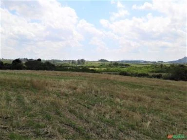 Fazenda para Plantio de Soja e Trigo em Glorinha/Gravataí - RS