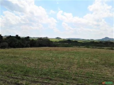 Fazenda para Plantio de Soja e Trigo em Glorinha/Gravataí - RS