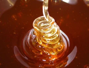 Mel de abelha 100% puro