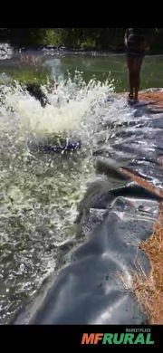 Imagem Vendo Aerador Aquamix Bernauer Imagem Vendo Aerador Aquamix Bernauer