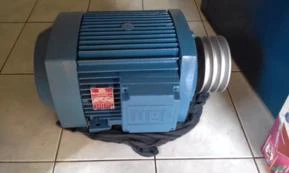 Motor Weg 15 cv