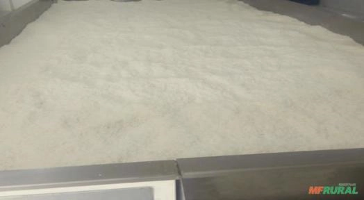 Coco Ralado Imagem Coco Ralado