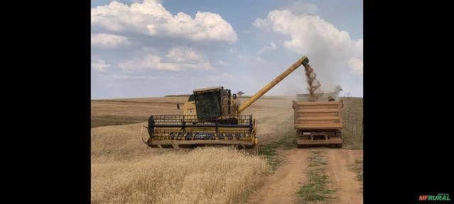 Colhedeira New Holland TC57 Imagem Colhedeira New Holland TC57