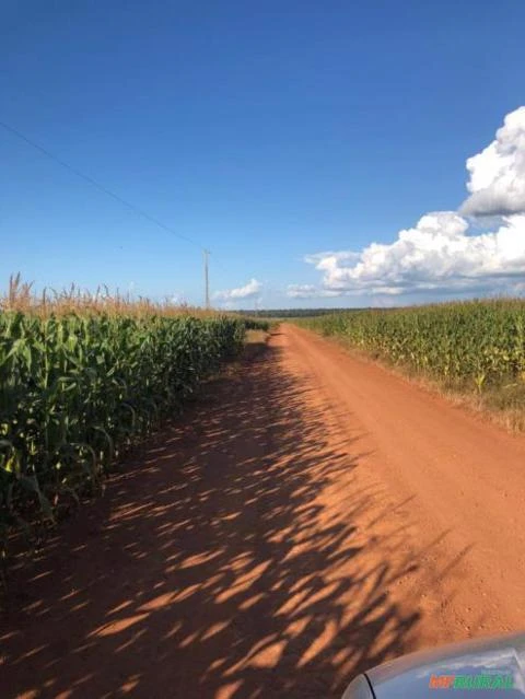 FAZENDA BRASNORTE MT 32.800 HECTARES