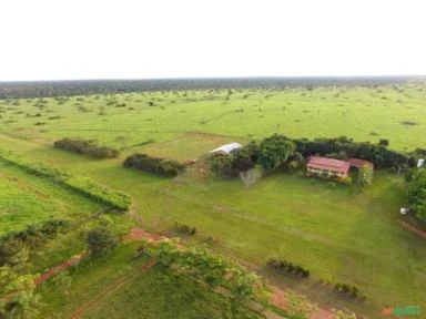 FAZENDA BRASNORTE MT 32.800 HECTARES