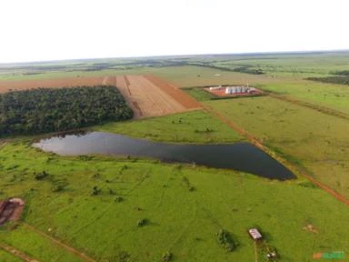 FAZENDA BRASNORTE MT 32.800 HECTARES