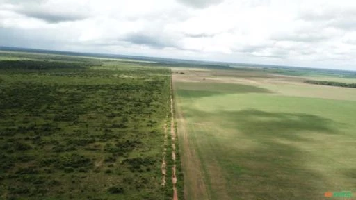 FAZENDA SANTA TEREZINHA COM 20.303 HECTARES