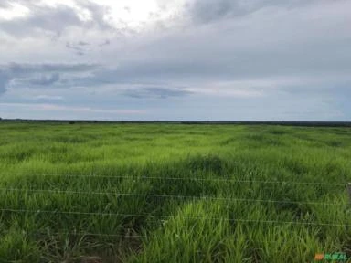 FAZENDA SANTA TEREZINHA COM 20.303 HECTARES