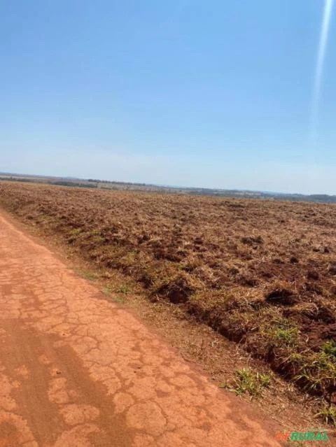 FAZENDA A VENDA EM COMODORO MT COM 8.300 HECTARES