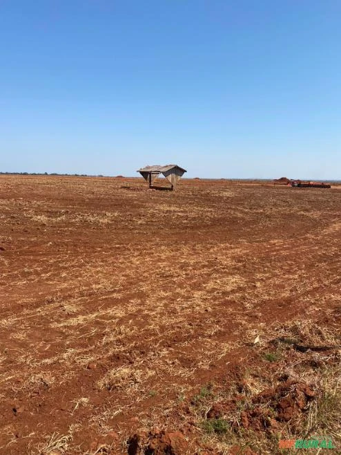 FAZENDA A VENDA EM COMODORO MT COM 8.300 HECTARES