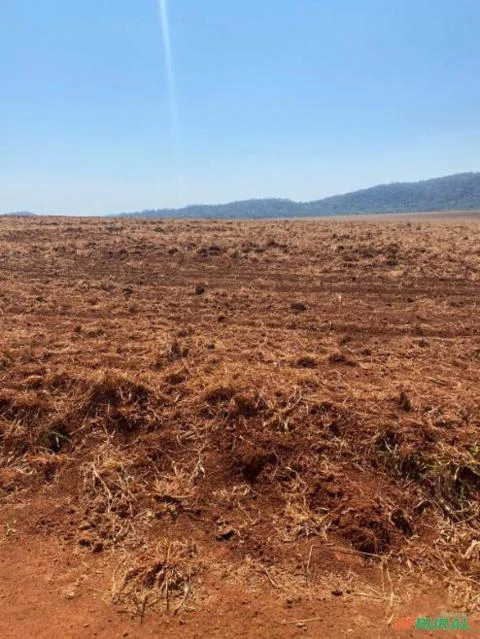 FAZENDA A VENDA EM COMODORO MT COM 8.300 HECTARES