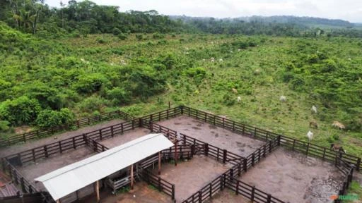 FAZENDA EM ALTA FLORESTA MT COM 1.210 HECTARES