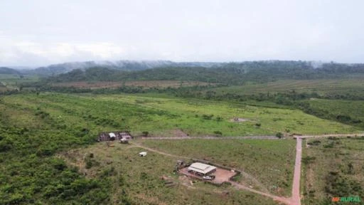 FAZENDA EM ALTA FLORESTA MT COM 1.210 HECTARES