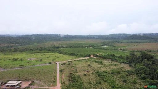 FAZENDA EM ALTA FLORESTA MT COM 1.210 HECTARES