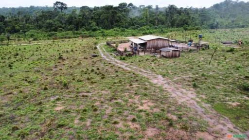 FAZENDA EM ALTA FLORESTA MT COM 1.210 HECTARES