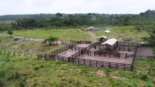 FAZENDA EM ALTA FLORESTA MT COM 1.210 HECTARES