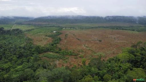 FAZENDA EM ALTA FLORESTA MT COM 1.210 HECTARES