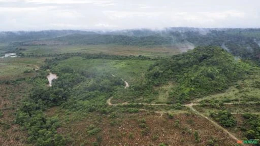 FAZENDA EM ALTA FLORESTA MT COM 1.210 HECTARES