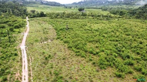 FAZENDA EM ALTA FLORESTA MT COM 1.210 HECTARES