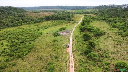 FAZENDA EM ALTA FLORESTA MT COM 1.210 HECTARES