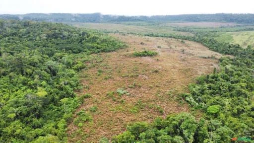 FAZENDA EM ALTA FLORESTA MT COM 1.210 HECTARES