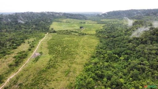 FAZENDA EM ALTA FLORESTA MT COM 1.210 HECTARES