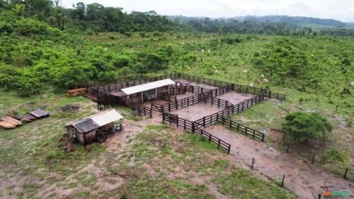 FAZENDA EM ALTA FLORESTA MT COM 1.210 HECTARES