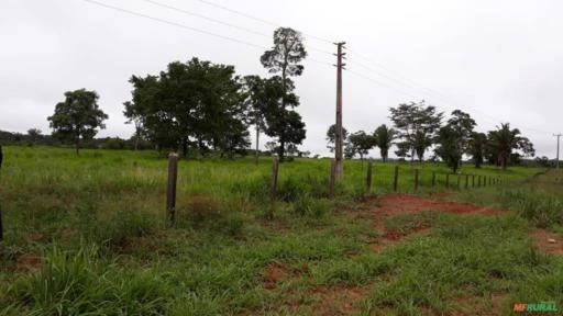 FAZENDA EM JAPURANÃ/BANDEIRANTES MT COM 2057 HECTARES