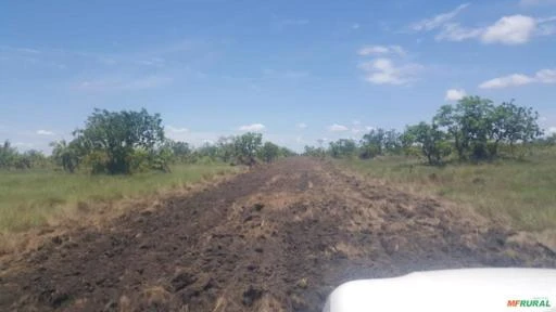 FAZENDA EM RIBEIRÃO CASCALHEIRA MT COM 17.500 HECTARES