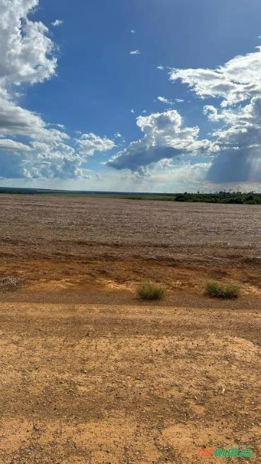 FAZENDA EM FELIZ NATAL – MT COM 2.520 HECTARES