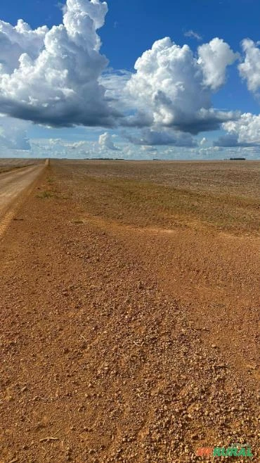 FAZENDA EM FELIZ NATAL – MT COM 2.520 HECTARES