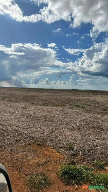 FAZENDA EM FELIZ NATAL – MT COM 2.520 HECTARES