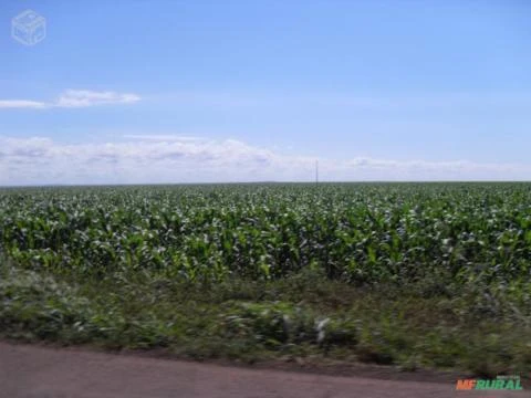 FAZENDA EM PARANATINGA MT COM 62.000 HECTARES