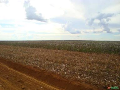 FAZENDA EM PARANATINGA MT COM 62.000 HECTARES