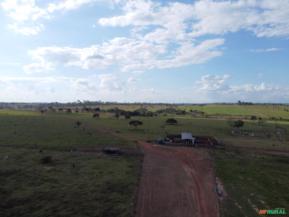 FAZENDA EM ALTA FLORESTA MT COM 714 HECTARES