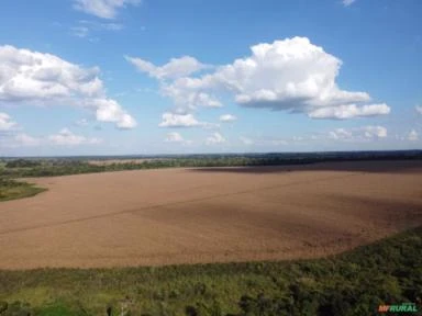 FAZENDA EM ALTA FLORESTA MT COM 714 HECTARES