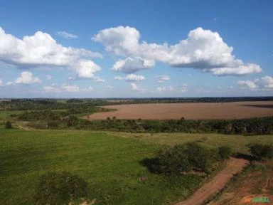 FAZENDA EM ALTA FLORESTA MT COM 714 HECTARES