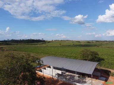 FAZENDA EM ALTA FLORESTA MT COM 714 HECTARES