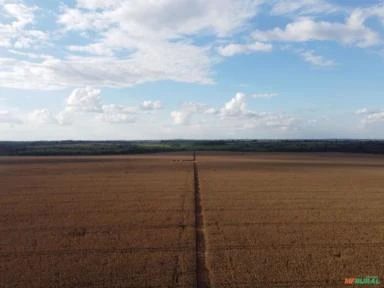 FAZENDA EM ALTA FLORESTA MT COM 714 HECTARES