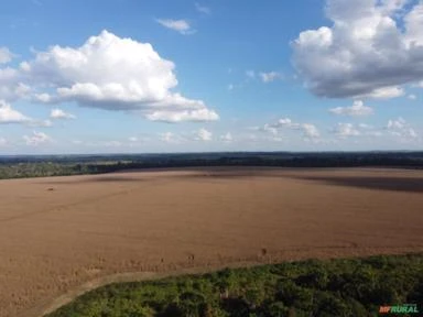 FAZENDA EM ALTA FLORESTA MT COM 714 HECTARES