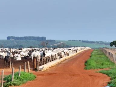 FAZENDA EM PARANATINGA MT COM 20.650 HECTARES