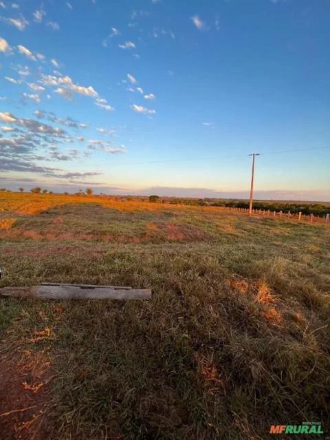 FAZENDA EM JUARA – MT COM 17.563 HECTARES